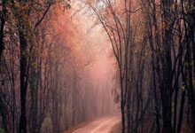 欧预赛丹麦队连胜在即，聚焦晋级