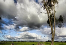 塞维利亚新火花：争取进军欧战的崛起之路