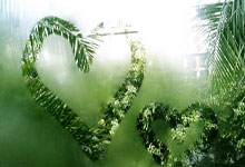 曼联客场不敌对手，遭遇连败