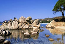 乌拉圭队不畏挑战战胜克罗地亚队，斗志昂扬